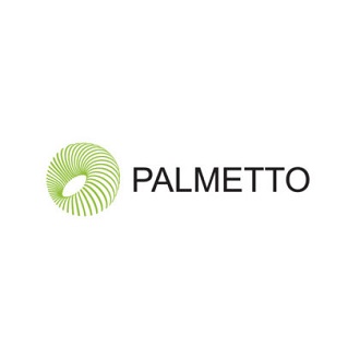 Palmetto is creating a future powered by solar logo in black